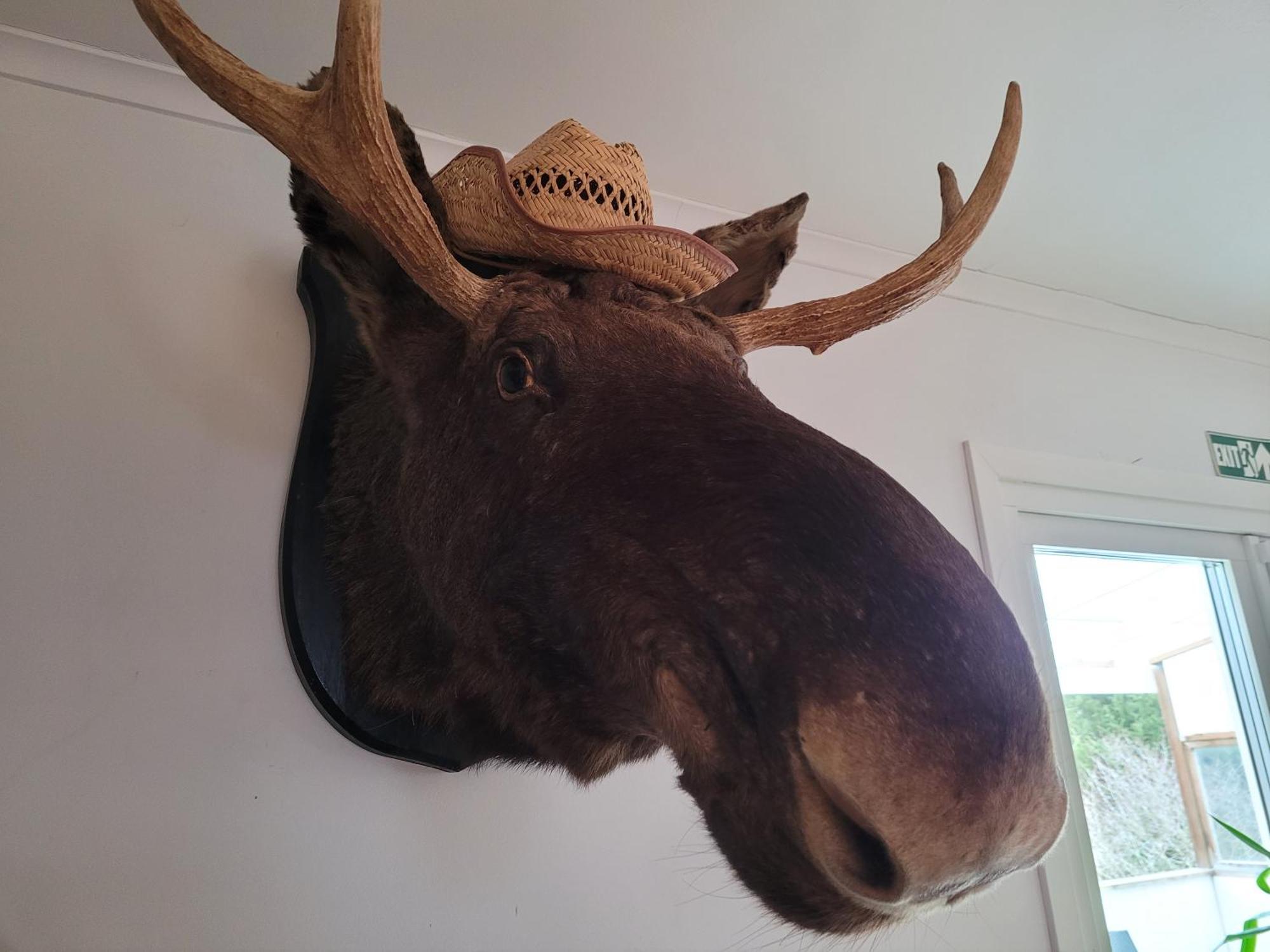 Landvetter Bnb Härryda Extérieur photo